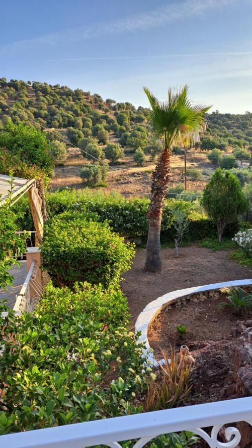 Βlueview Villa Ermioni Exterior photo